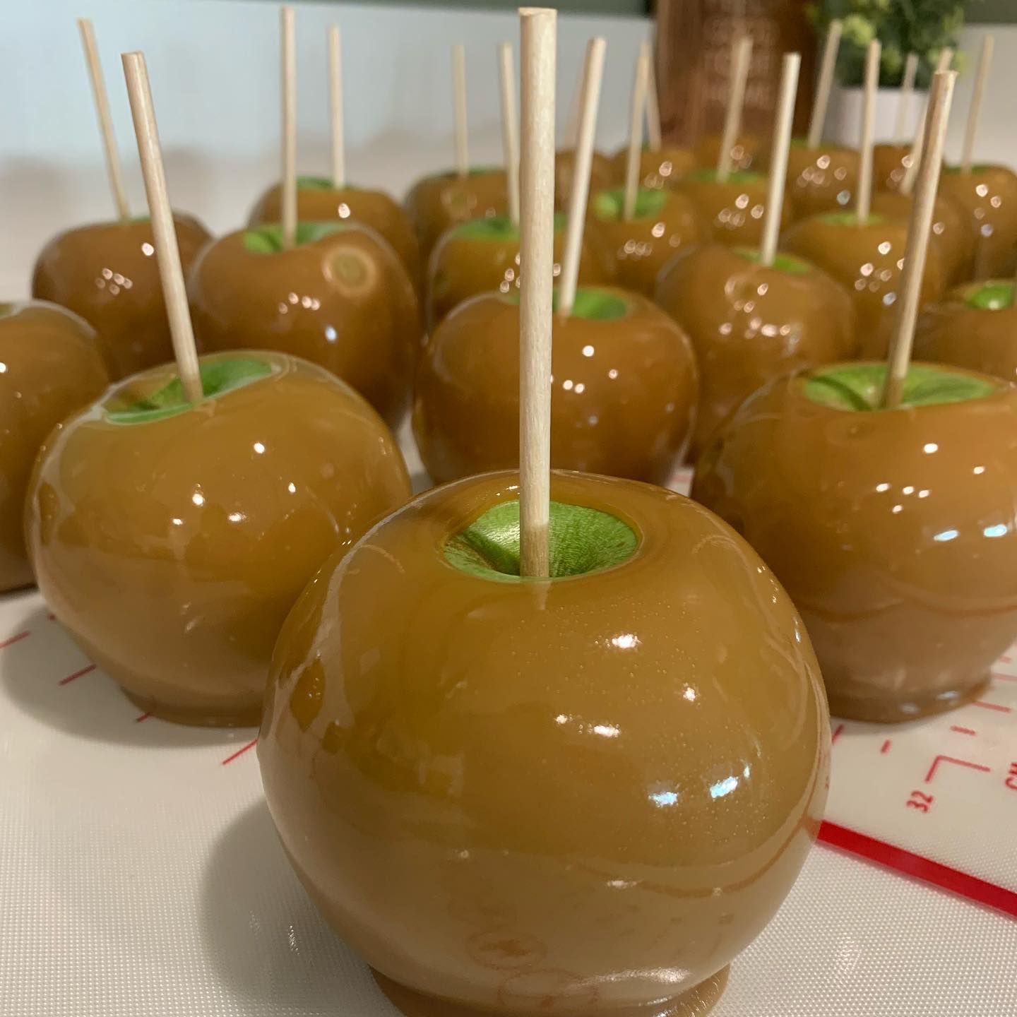 Caramel Chocolate Covered Apple #102