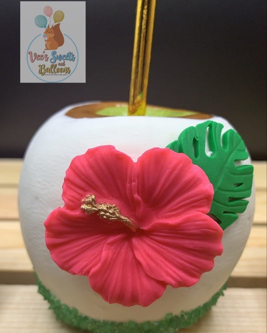 Caramel Chocolate Covered Apple #105