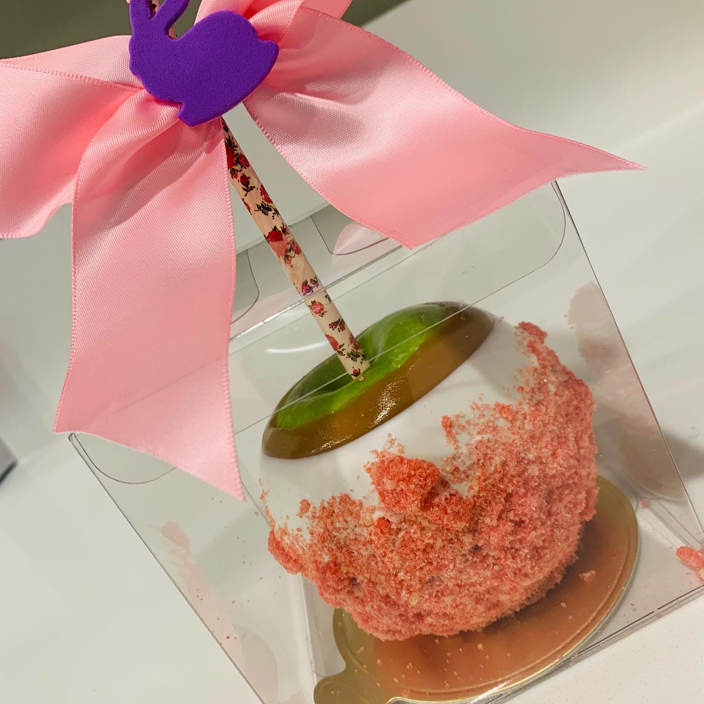 Caramel Chocolate Covered Apple #116