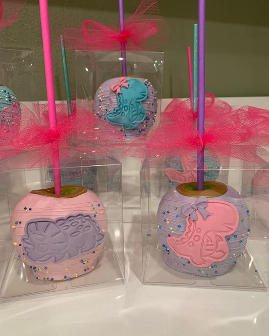 Caramel Chocolate Covered Apple #118